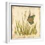 Butterfly Meadow-Bella Dos Santos-Framed Art Print