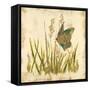 Butterfly Meadow-Bella Dos Santos-Framed Stretched Canvas