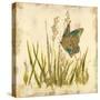 Butterfly Meadow-Bella Dos Santos-Stretched Canvas