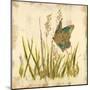 Butterfly Meadow-Bella Dos Santos-Mounted Art Print