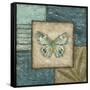 Butterfly Montage II-Chariklia Zarris-Framed Stretched Canvas