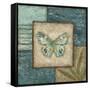 Butterfly Montage II-Chariklia Zarris-Framed Stretched Canvas