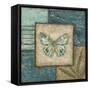 Butterfly Montage II-Chariklia Zarris-Framed Stretched Canvas