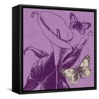 Butterfly Morning-Bella Dos Santos-Framed Stretched Canvas