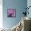 Butterfly Morning-Bella Dos Santos-Framed Stretched Canvas displayed on a wall