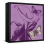 Butterfly Morning-Bella Dos Santos-Framed Stretched Canvas