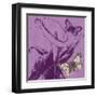 Butterfly Morning-Bella Dos Santos-Framed Art Print