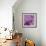 Butterfly Morning-Bella Dos Santos-Framed Art Print displayed on a wall