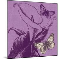 Butterfly Morning-Bella Dos Santos-Mounted Art Print