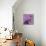 Butterfly Morning-Bella Dos Santos-Mounted Art Print displayed on a wall