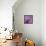 Butterfly Morning-Bella Dos Santos-Framed Stretched Canvas displayed on a wall