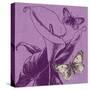 Butterfly Morning-Bella Dos Santos-Stretched Canvas