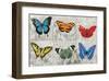 Butterfly Mural-Alan Hopfensperger-Framed Art Print