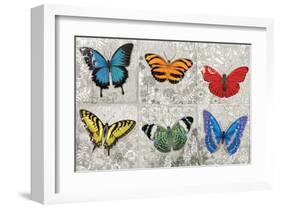 Butterfly Mural-Alan Hopfensperger-Framed Art Print