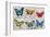 Butterfly Mural-Alan Hopfensperger-Framed Art Print