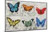 Butterfly Mural-Alan Hopfensperger-Mounted Art Print