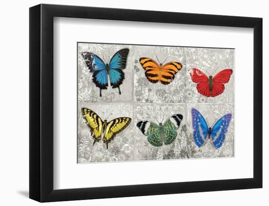 Butterfly Mural-Alan Hopfensperger-Framed Art Print