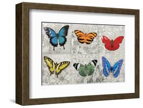 Butterfly Mural-Alan Hopfensperger-Framed Art Print