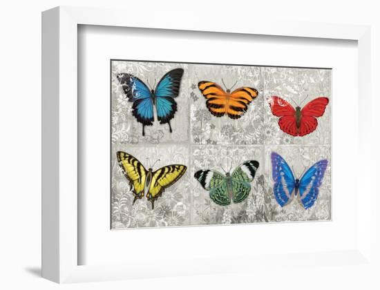Butterfly Mural-Alan Hopfensperger-Framed Art Print