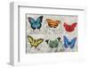 Butterfly Mural-Alan Hopfensperger-Framed Art Print