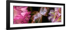 Butterfly Nebula with Iris and Pink Flowers-null-Framed Photographic Print