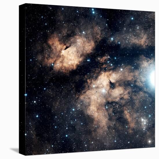 Butterfly Nebula-Stocktrek Images-Stretched Canvas