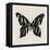 Butterfly Numbers-Morgan Yamada-Framed Stretched Canvas