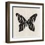 Butterfly Numbers-Morgan Yamada-Framed Art Print