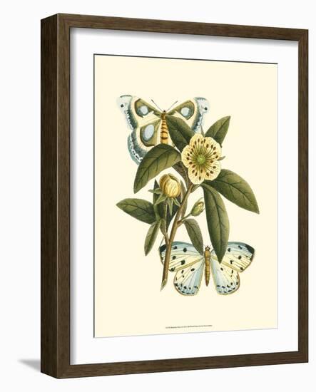 Butterfly Oasis I-null-Framed Art Print