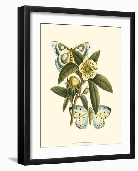 Butterfly Oasis I-null-Framed Art Print