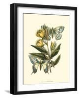 Butterfly Oasis II-null-Framed Art Print