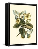 Butterfly Oasis IV-null-Framed Stretched Canvas