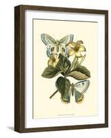 Butterfly Oasis IV-null-Framed Art Print