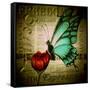 Butterfly on Flower with Words-Cherie Roe Dirksen-Framed Stretched Canvas