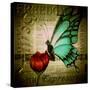 Butterfly on Flower with Words-Cherie Roe Dirksen-Stretched Canvas