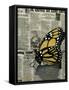 Butterfly On My Newspaper-Cherie Roe Dirksen-Framed Stretched Canvas