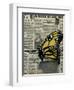 Butterfly On My Newspaper-Cherie Roe Dirksen-Framed Premium Giclee Print