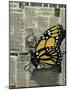 Butterfly On My Newspaper-Cherie Roe Dirksen-Mounted Giclee Print