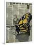 Butterfly On My Newspaper-Cherie Roe Dirksen-Framed Giclee Print