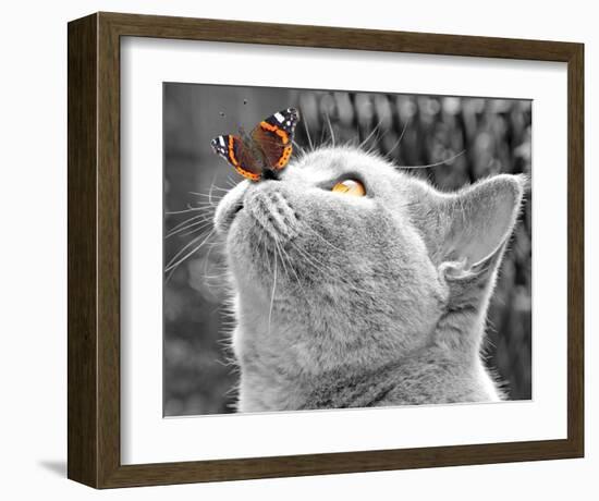 Butterfly on Nose-null-Framed Art Print