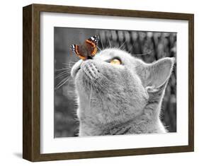 Butterfly on Nose-null-Framed Art Print