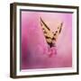 Butterfly on the Azaleas-Jai Johnson-Framed Giclee Print