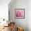 Butterfly on the Azaleas-Jai Johnson-Framed Giclee Print displayed on a wall