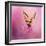 Butterfly on the Azaleas-Jai Johnson-Framed Giclee Print