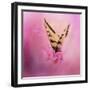 Butterfly on the Azaleas-Jai Johnson-Framed Giclee Print