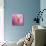 Butterfly on the Azaleas-Jai Johnson-Mounted Giclee Print displayed on a wall