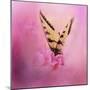 Butterfly on the Azaleas-Jai Johnson-Mounted Giclee Print