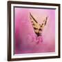 Butterfly on the Azaleas-Jai Johnson-Framed Giclee Print