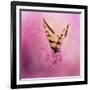 Butterfly on the Azaleas-Jai Johnson-Framed Giclee Print