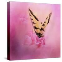 Butterfly on the Azaleas-Jai Johnson-Stretched Canvas